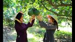 Tour Miền Tây: Mỹ Tho - Cần Thơ (DPT85)